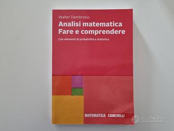 Analisi matematica Fare e comprendere