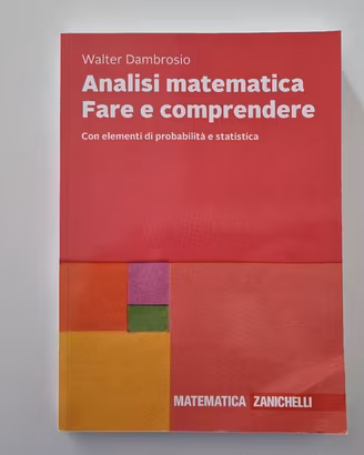 Analisi matematica Fare e comprendere