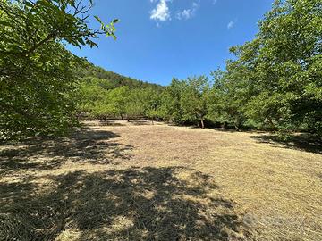 Terreno Residenziale Caporciano [GRE743VRG]