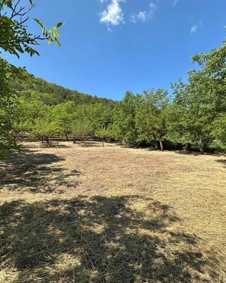 Terreno Residenziale Caporciano [GRE743VRG]