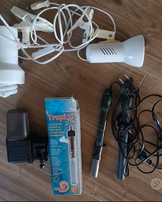 Kit terrario completo usato