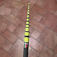 Verbanese Champion 4B