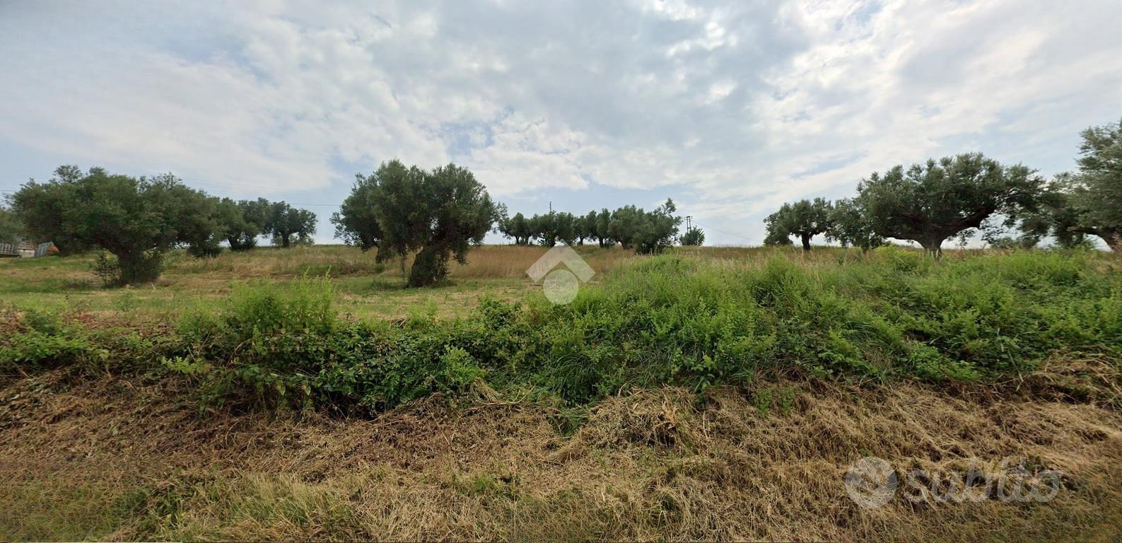 TER. RESIDENZIALE A CASTELLALTO - Vista 4