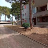 Bari Via Fanelli- Borgobello- 80 mq più 55 di est