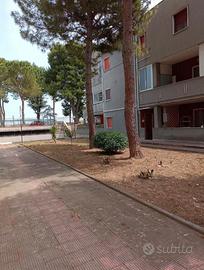 Bari Via Fanelli- Borgobello- 80 mq più 55 di est