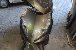 Peugeot Geopolis 300 -