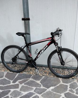 mountain bike