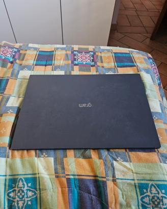 LG Gram 17" i7 - 16GB RAM - 1TB SSD 