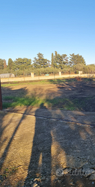 Budoni - bivio Tanaunella -S'Iscala agricolo