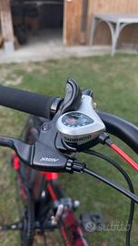 2 Bici Asso Armony 2025 – Pari al Nuovo