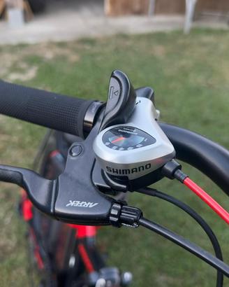 2 Bici Asso Armony 2025 – Pari al Nuovo