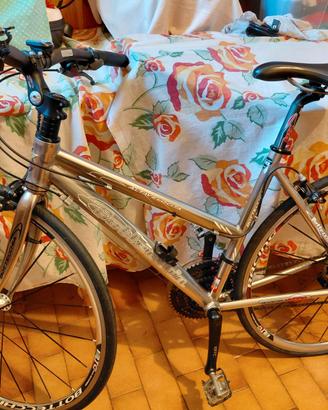 Bici bottecchia alta velocità