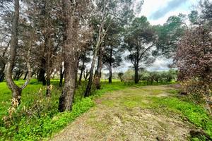 TER. RESIDENZIALE A LECCE