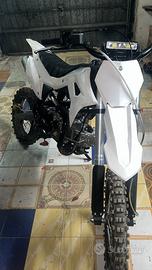 Pit bike lem 160