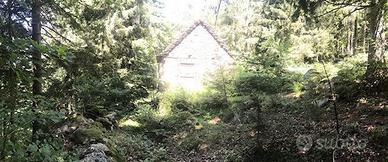 Rustico/Casale/Corte Varzo [PasGia0824VRG]