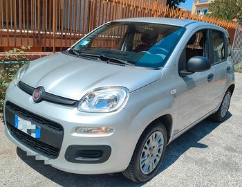 Fiat Panda 1.2 benzina (2015). solo14400