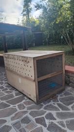 BOX PER TRASPORTO CANI GROSSA TAGLIA