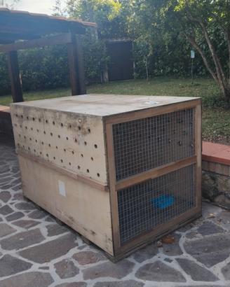 BOX PER TRASPORTO CANI GROSSA TAGLIA