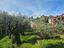 Immagine 16