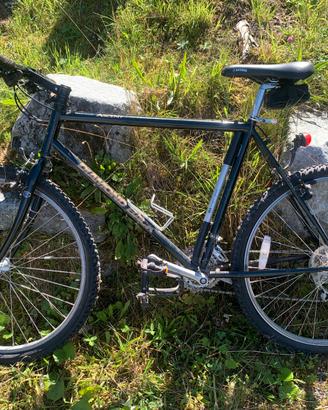 Bicicletta DiamondBack