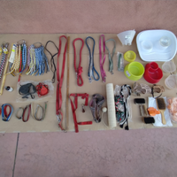 COLLARI ed ACCESSORI per CANI