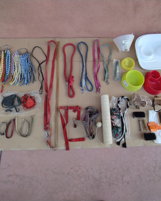 COLLARI ed ACCESSORI per CANI