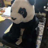 panda di peluche