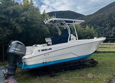 WELLCRAFT 222 + 225hp YAMAHA (2018)
