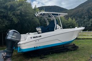 WELLCRAFT 222 + 225hp YAMAHA (2018)