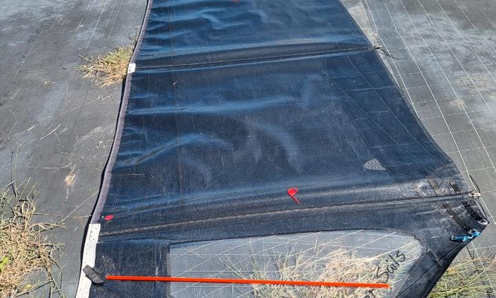 Vela Challenger Classe A seminuova