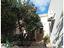 Immagine 13