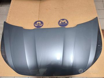 Cofani/paraurti ante. e poste. MicroCar AIXAM