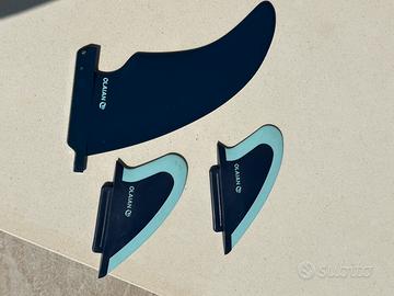 Pinne per longboard