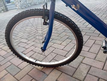 Bicicletta