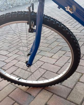 Bicicletta