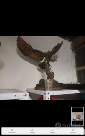 aquila in bronzo