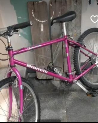bicicletta 
