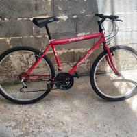 Bici CocaCola Vintage (VERONA)