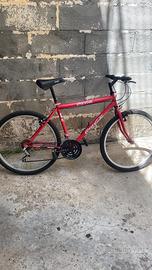 Bici CocaCola Vintage (VERONA)