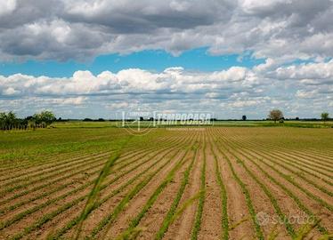 TERRENO AGRICOLO