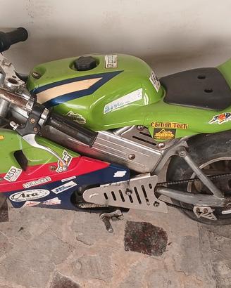 minimoto