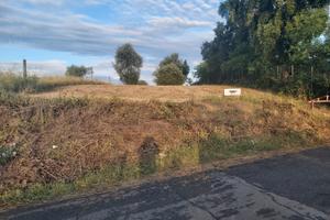 Terreno agricolo