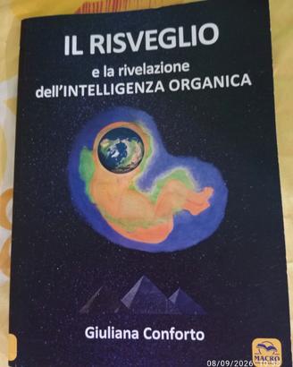 Il risveglio e la rivelazione dell'intelligenza o.