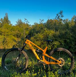Canyon Spectral  29 CF 8, taglia L