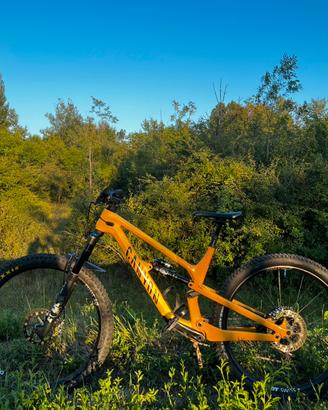 Canyon Spectral  29 CF 8, taglia L