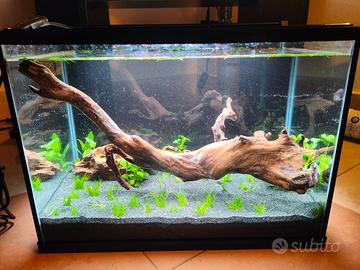 Acquario Zolux 60 L