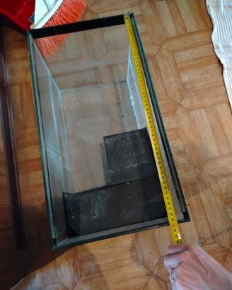 acquario per tartarughe acqua