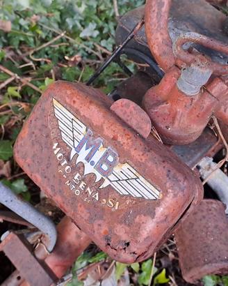 Falciatrice Motobenassi motore Lombardini LA250