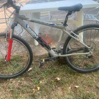 Bicicletta donna/ragazzo