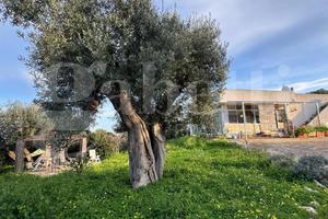 Villa o villino Polignano a Mare